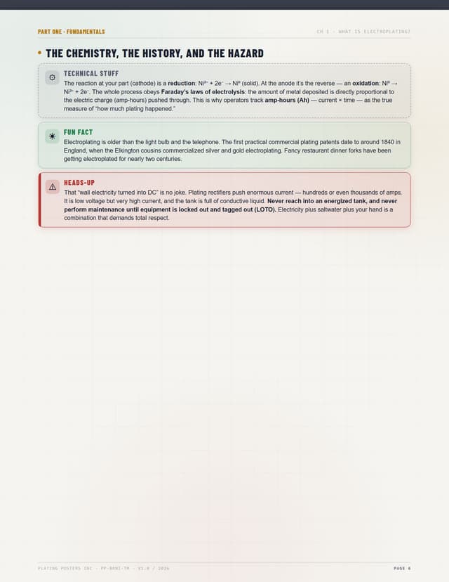 Bright Nickel — The Complete Training Manual — sample page 6